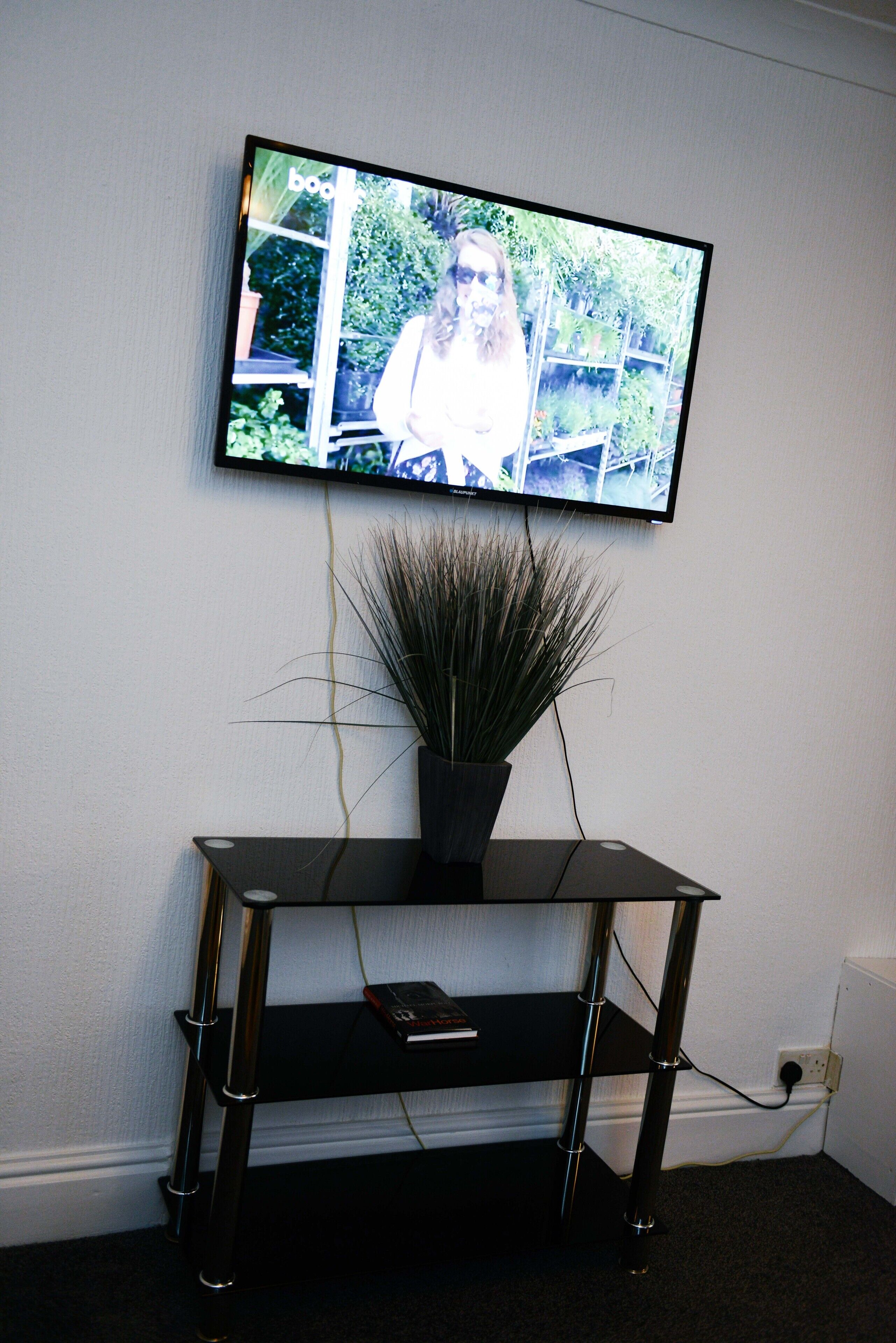 Un televisor montado en la pared sobre un aparador negro con una planta en maceta.