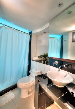Shower, hair dryer, towels