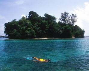A swimmer in clear blue water with a lush green island in the background. - Bonne Amie (Port Antonio)