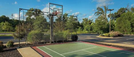 Una cancha de baloncesto al aire libre con aro, rodeada de árboles y una carretera.