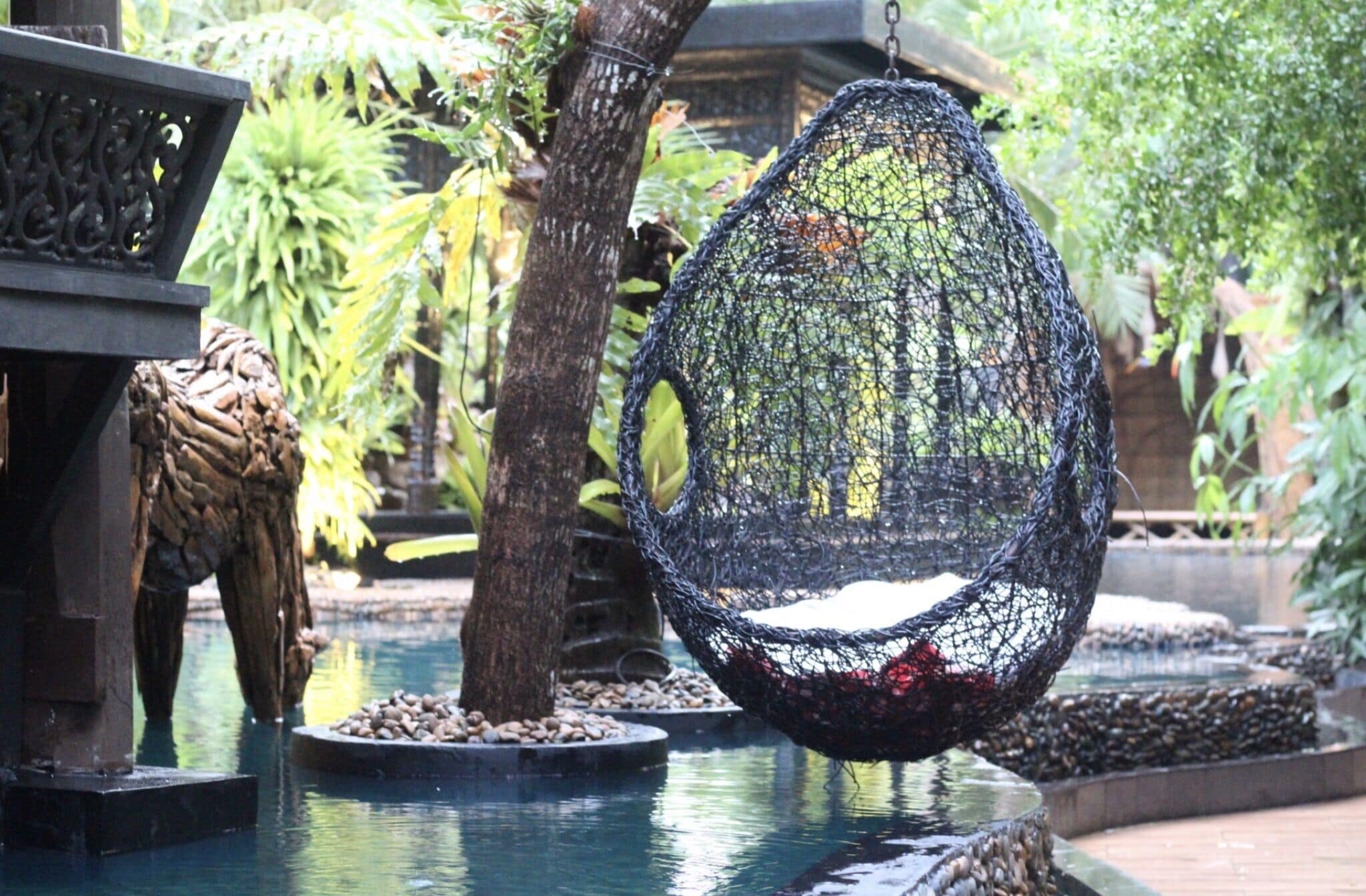 plasma tv, dvd player