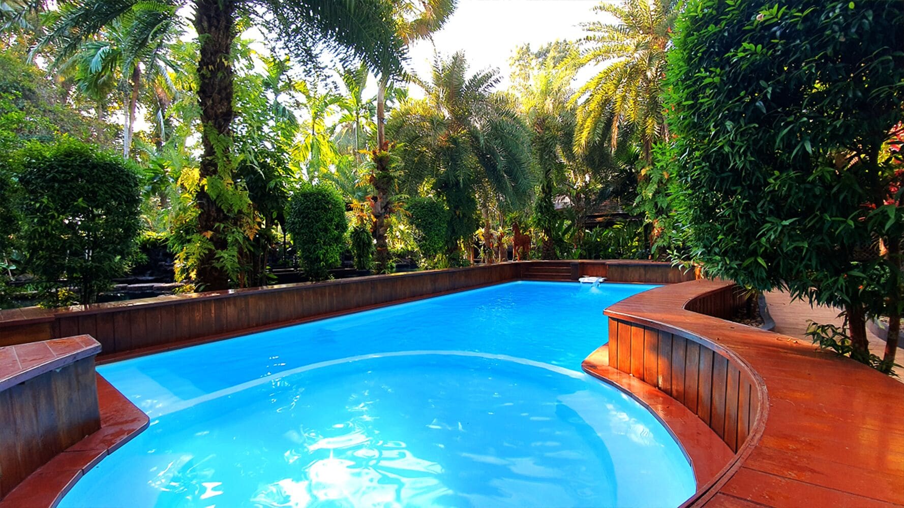 plasma tv, dvd player