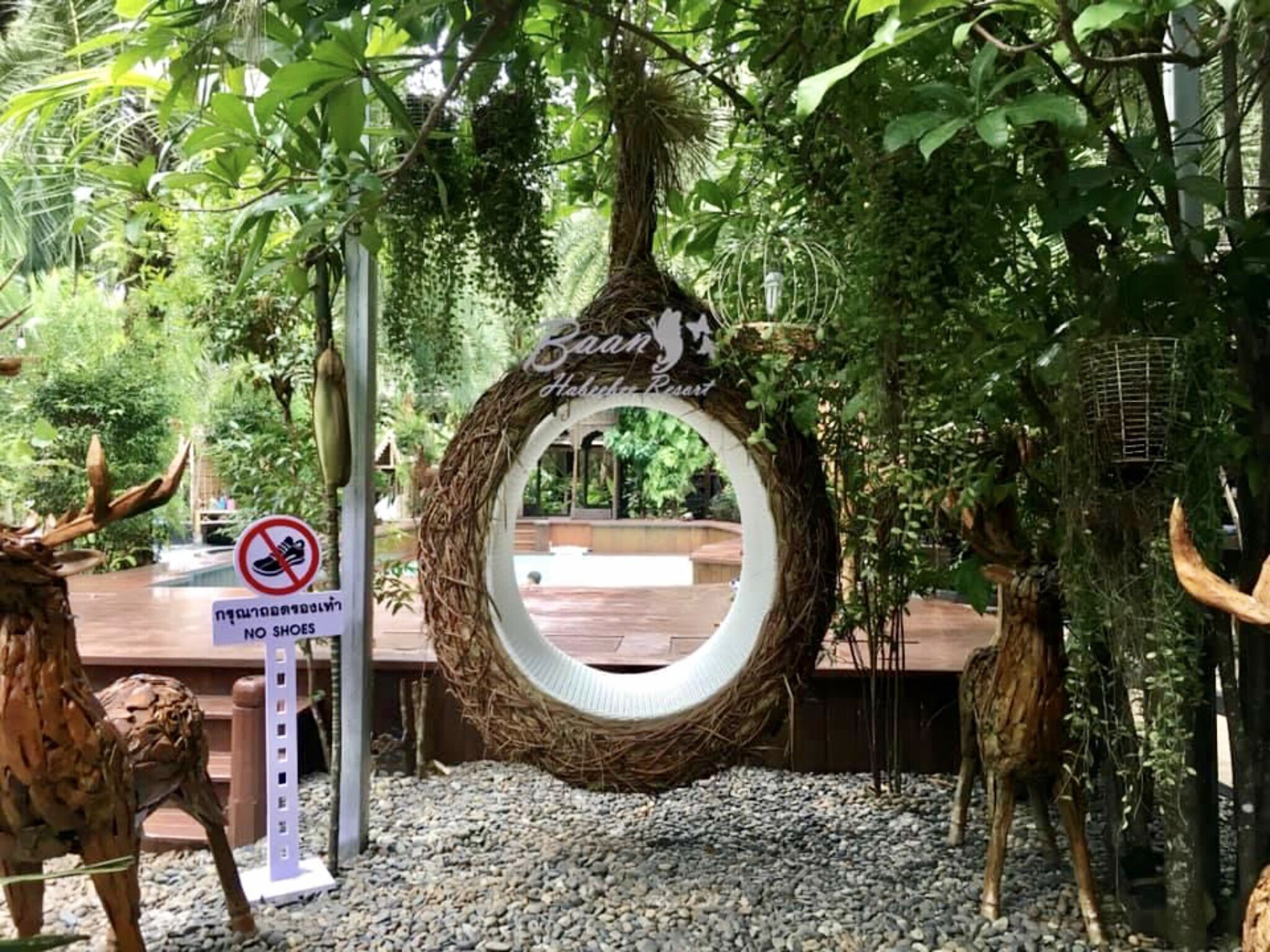 plasma tv, dvd player