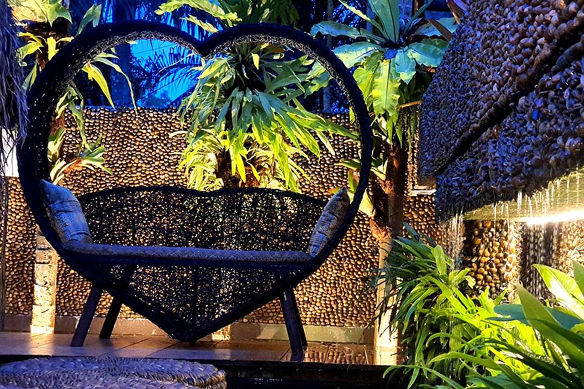 plasma tv, dvd player