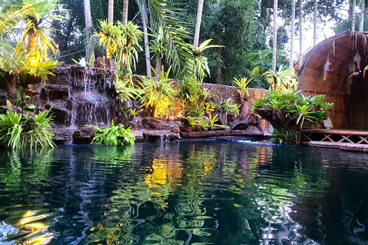 plasma tv, dvd player