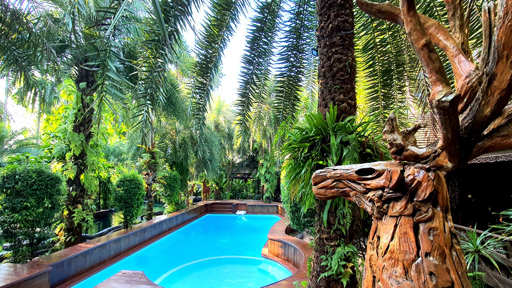 plasma tv, dvd player