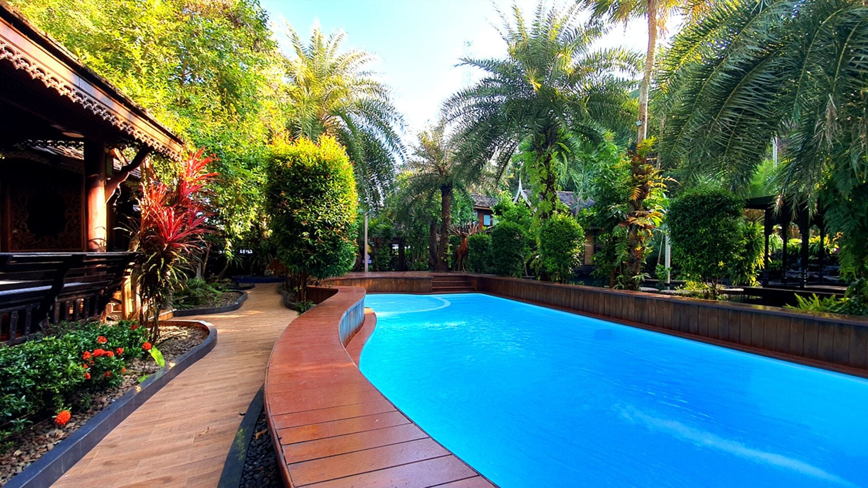 plasma tv, dvd player