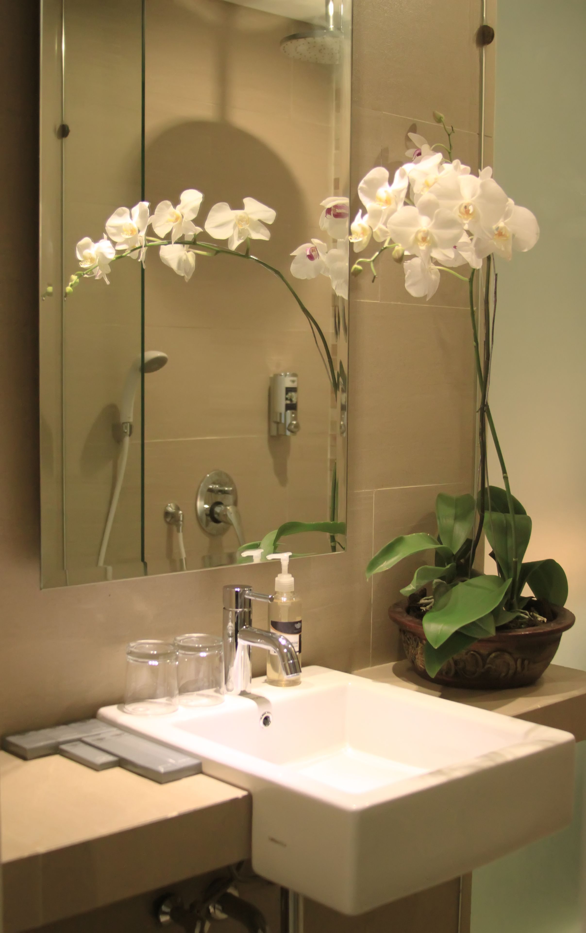 Une salle de bain équipée d’un lavabo, d’un miroir, d’une douche et de deux orchidées.