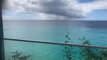 Vista desde la propiedad