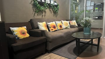 32-inch flat-screen TV with satellite channels, TV