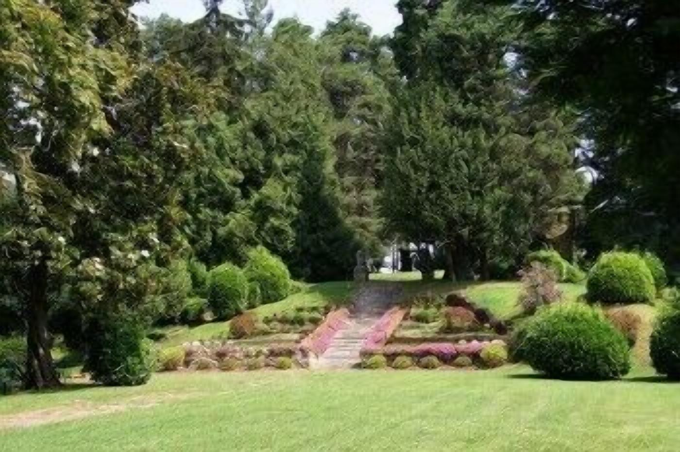 A well-maintained garden with a central pathway leading to a seating area surrounded by lush greenery and trees.