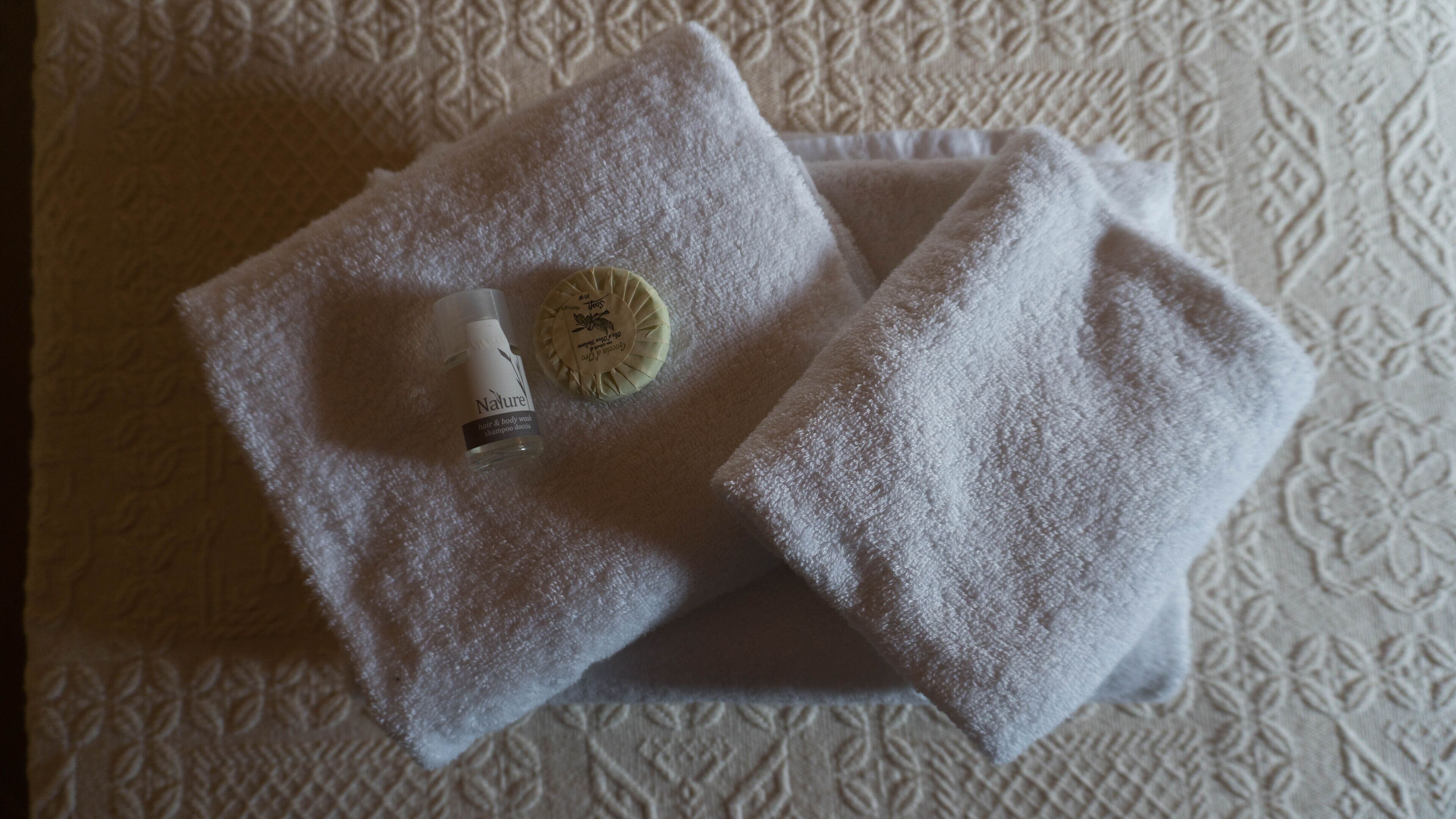 shower, free toiletries, hair dryer, bidet