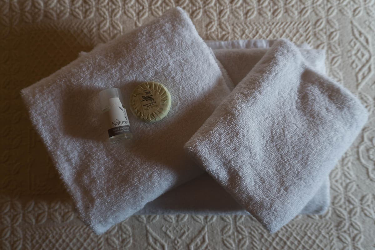 shower, free toiletries, hair dryer, bidet