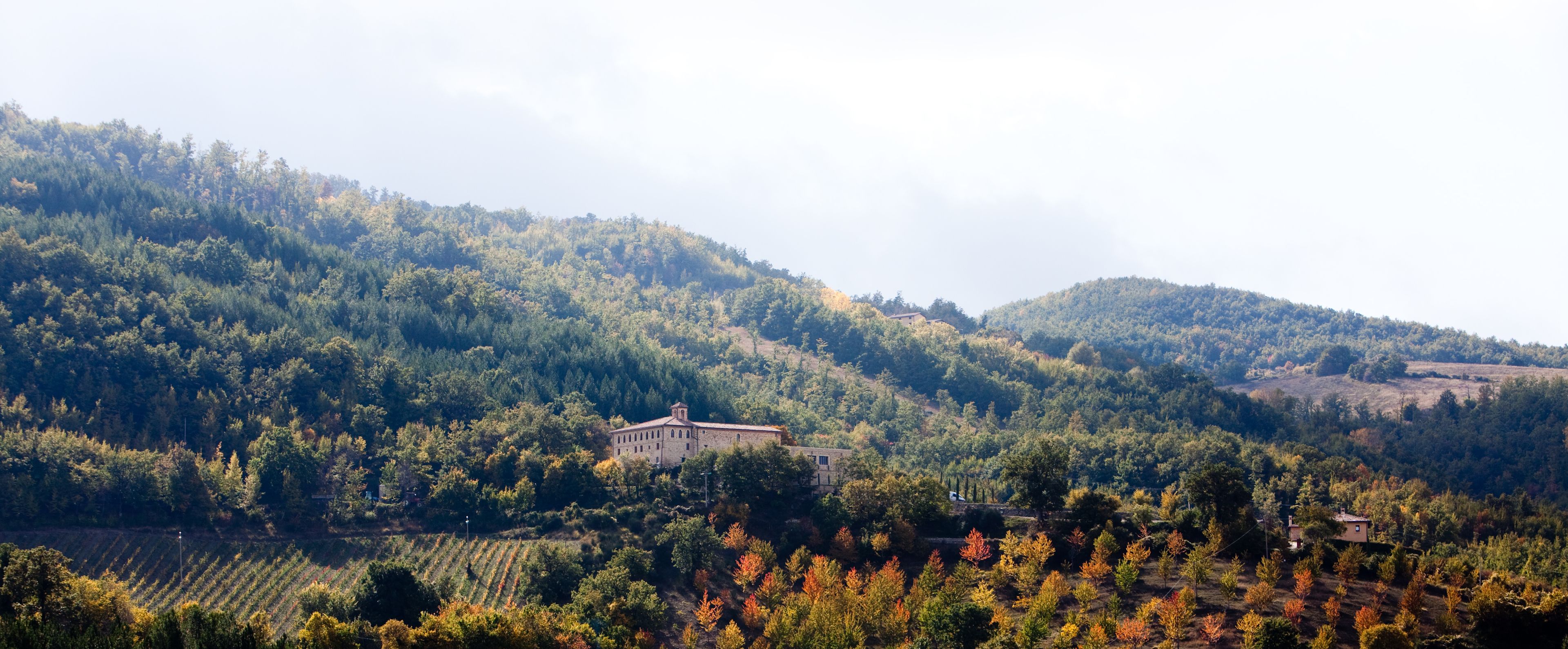 A rural landscape with a stone building surrounded by dense forest and terraced fields.