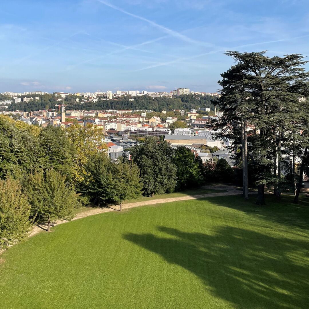 A grassy area with a view of a cityscape in the background.