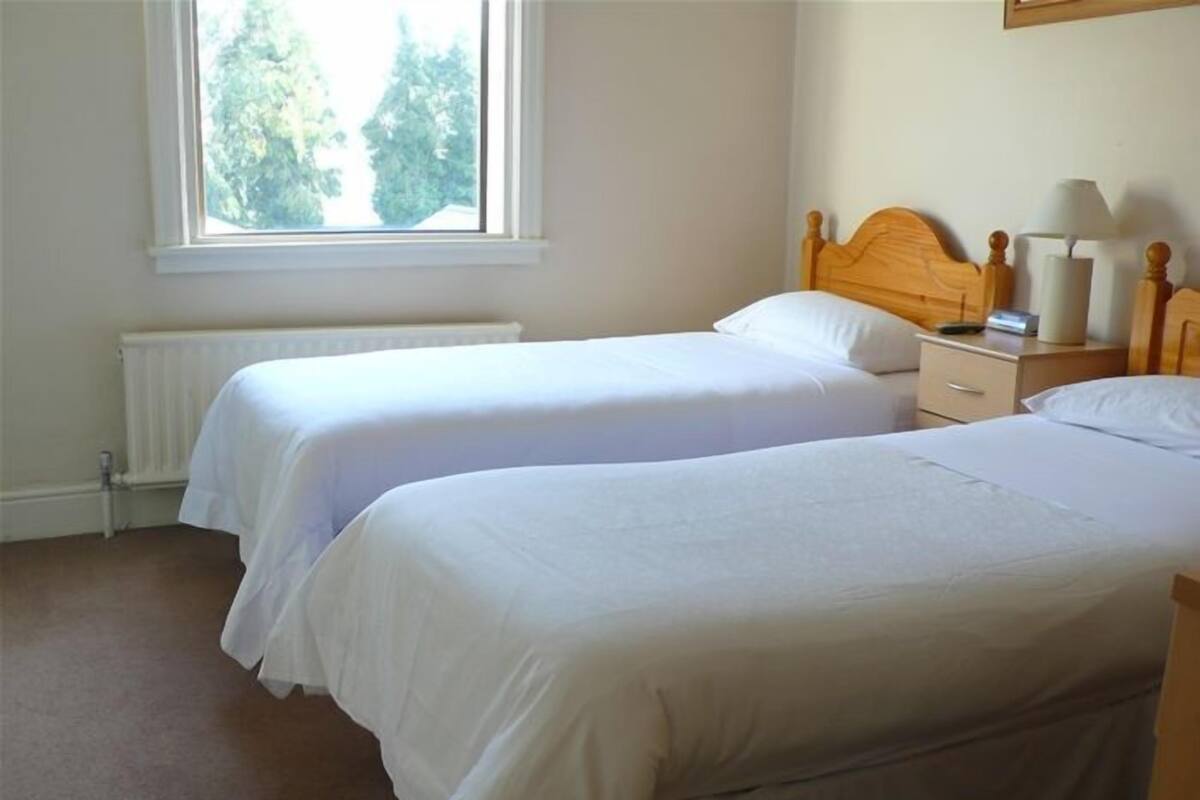 Standard Twin Room | Iron/ironing board, cots/infant beds, rollaway beds, free WiFi