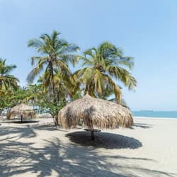 Trên bãi biển, ghế dài tắm nắng, dù trên bãi biển, khăn tắm biển
