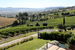 A vineyard with rows of grapevines, a small building, and a clear view of distant hills. - Locanda Palazzone (Orvieto)