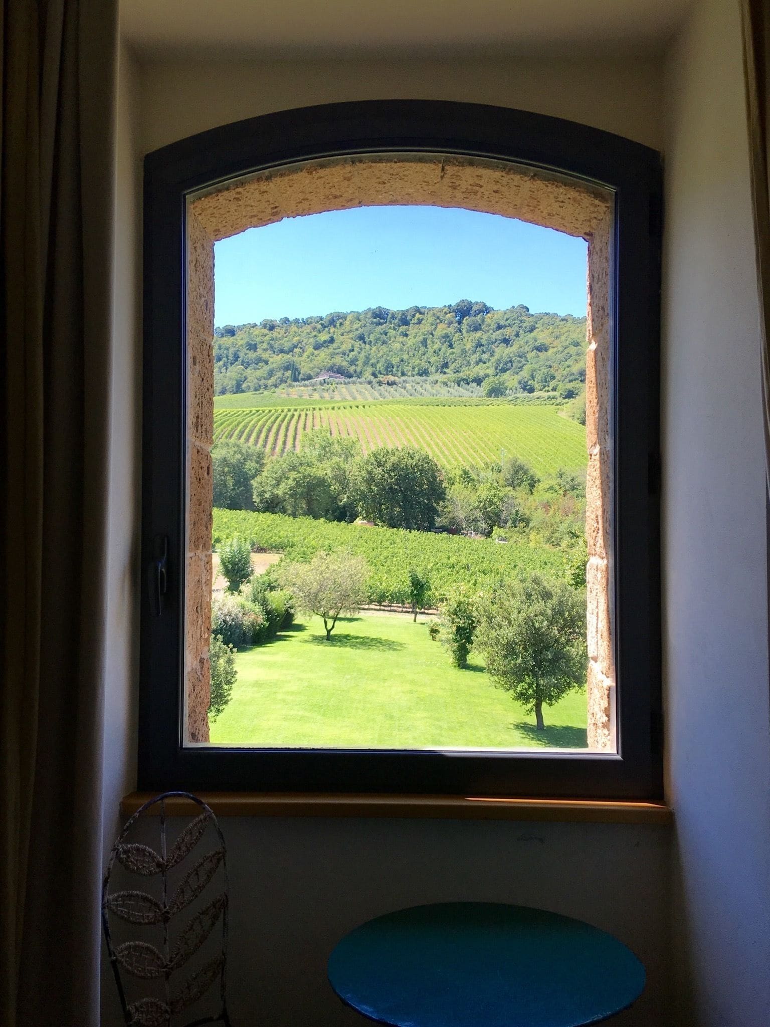 A window with a view of a vineyard and a tree in the foreground.