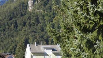 A house with a sloped roof, surrounded by dense forest and a mountain in the background.