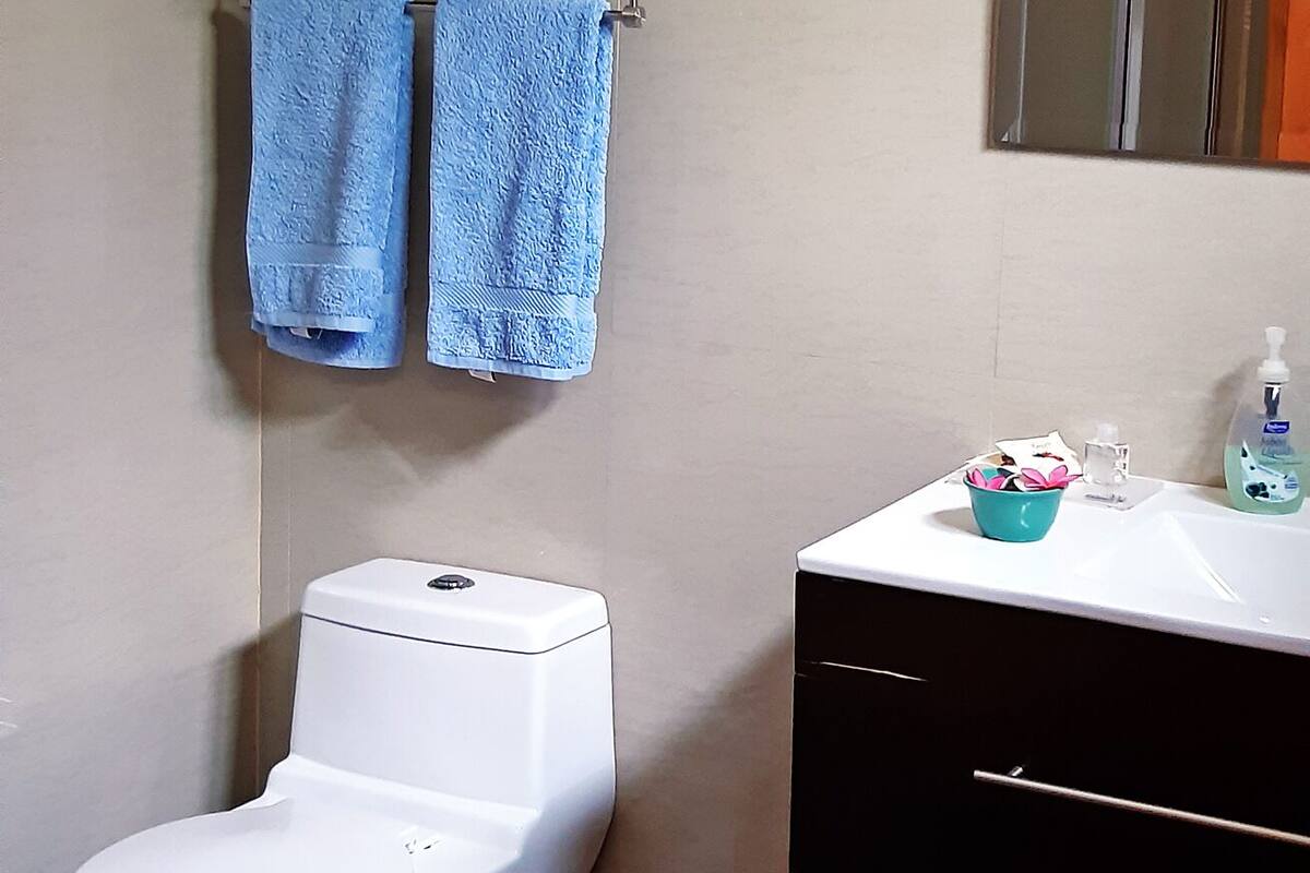 family room | bathroom | shower, rainfall showerhead, hair dryer, towels