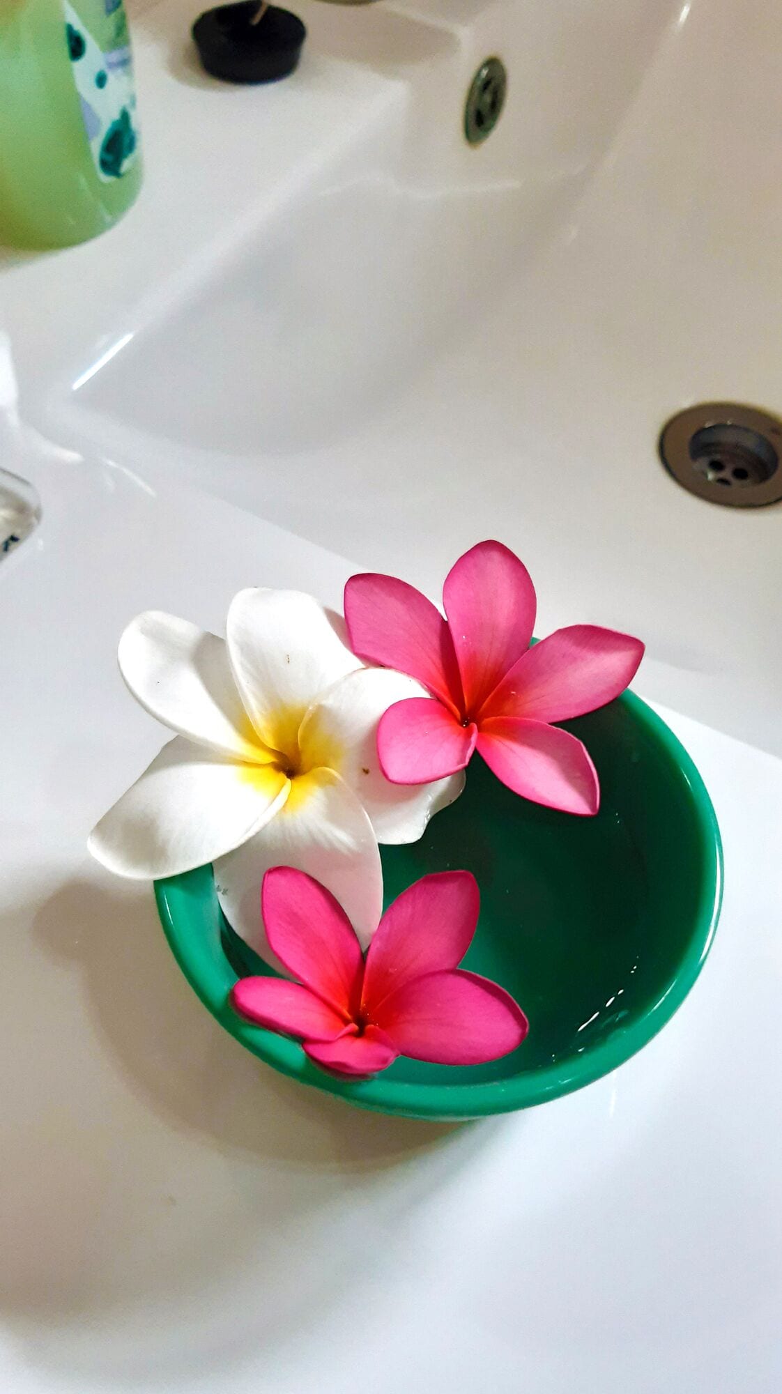 family room | bathroom | shower, rainfall showerhead, hair dryer, towels