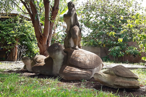 Terrein van de accommodatie