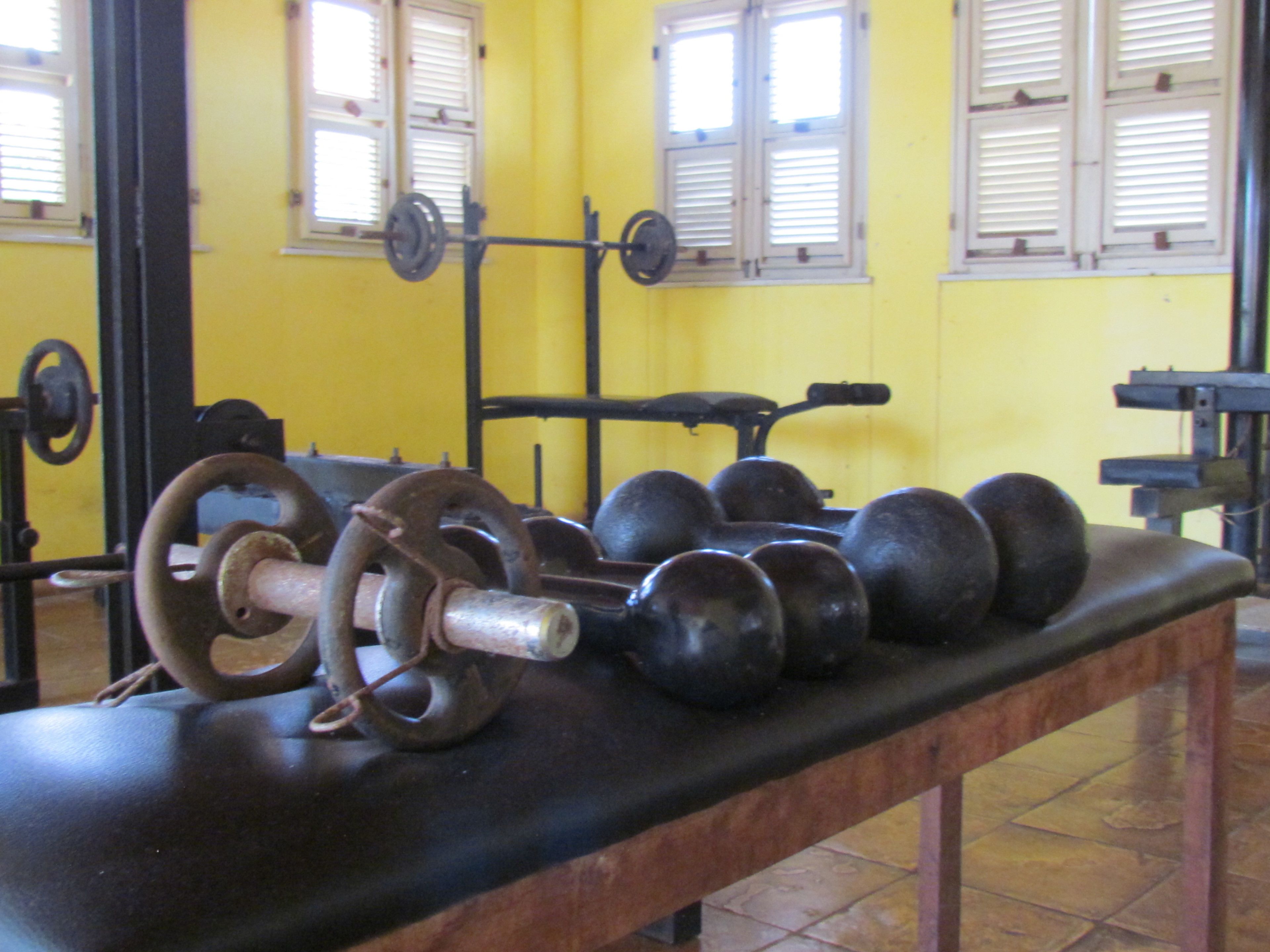 Une salle de sport équipée d’un banc de développé couché, de barres et de poids.
