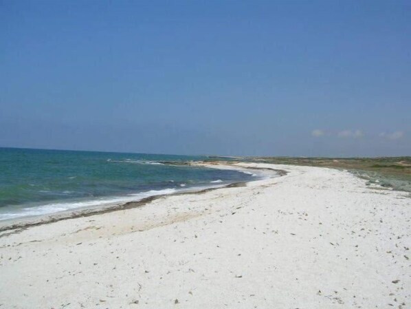 Playa en los alrededores 