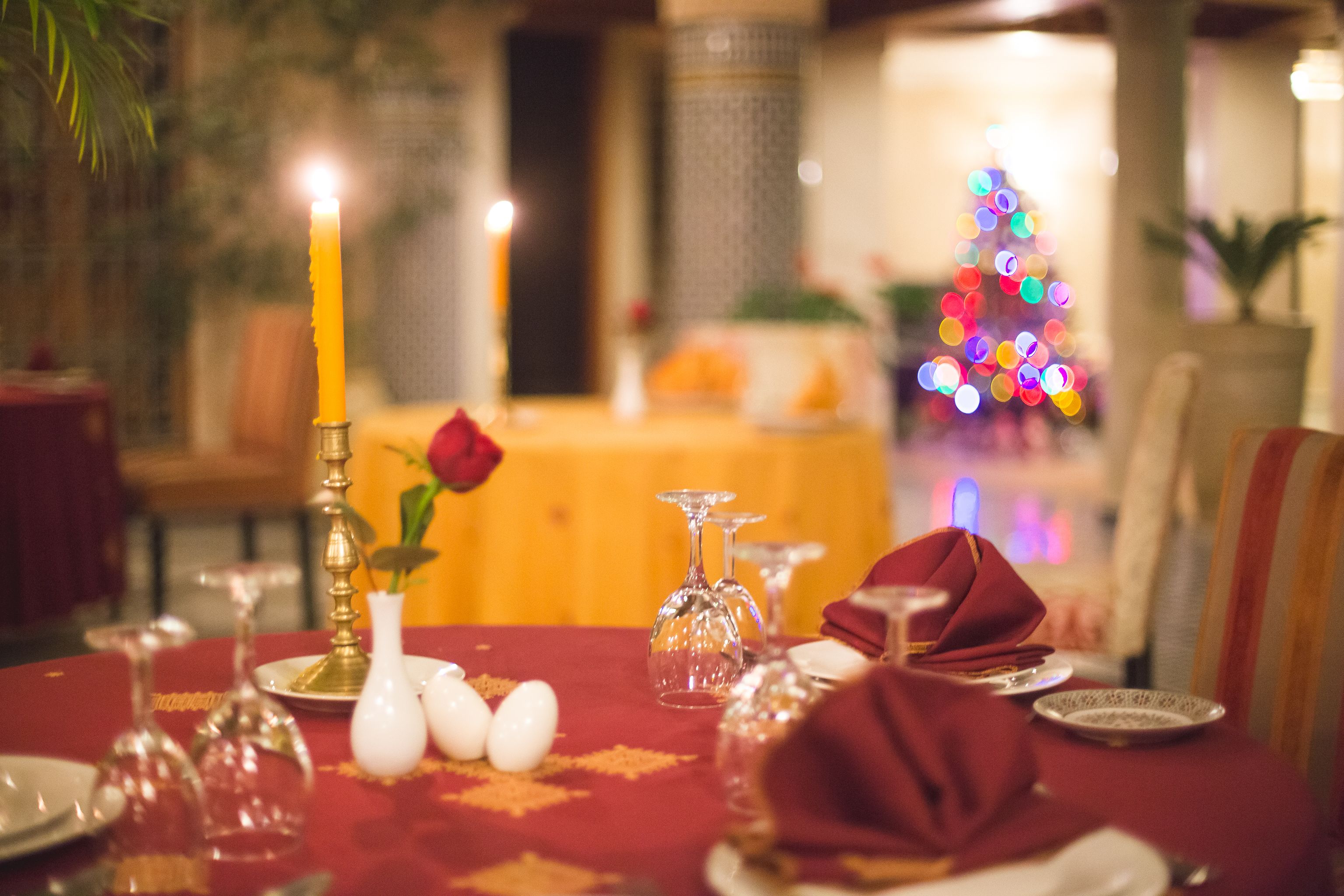 Photo - Riad Andalib