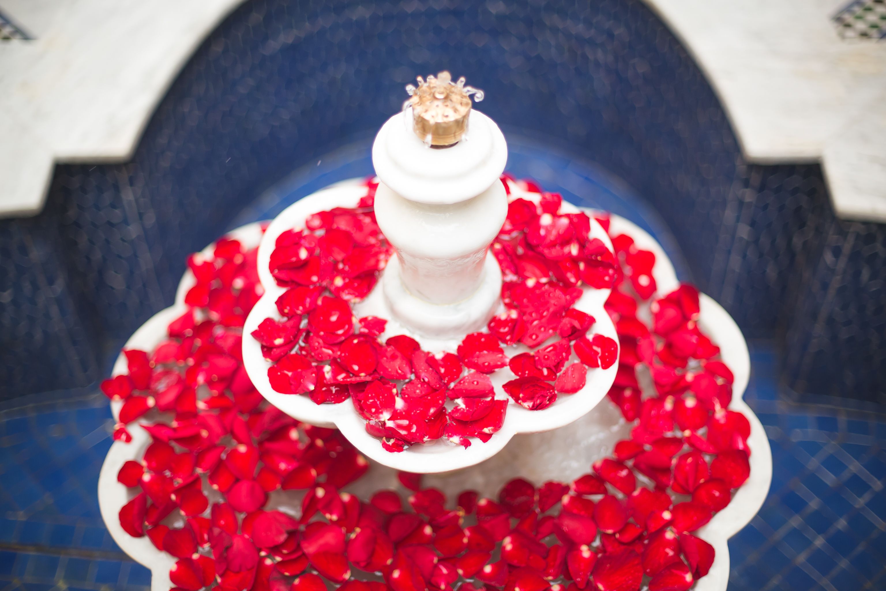 Photo - Riad Andalib