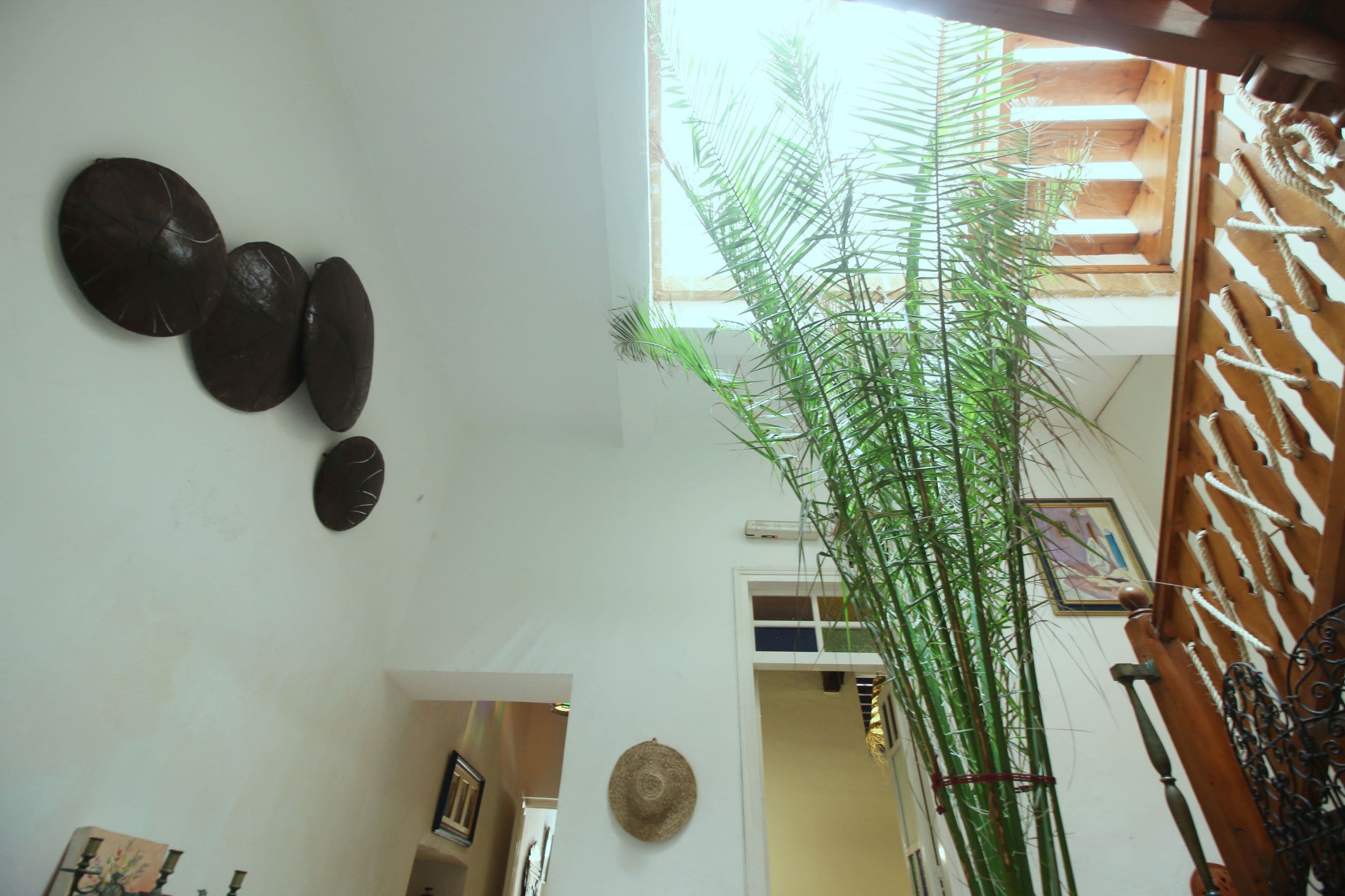 A room with a staircase, a wall-mounted clock, a hanging plant, and a door leading to another room.