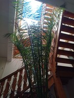 Una escalera con barandilla de madera y una planta en maceta.