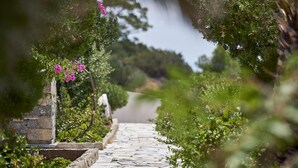 A stone pathway flanked by lush greenery and flowering plants, leading towards a distant view. - Nakou Village (Ierapetra)