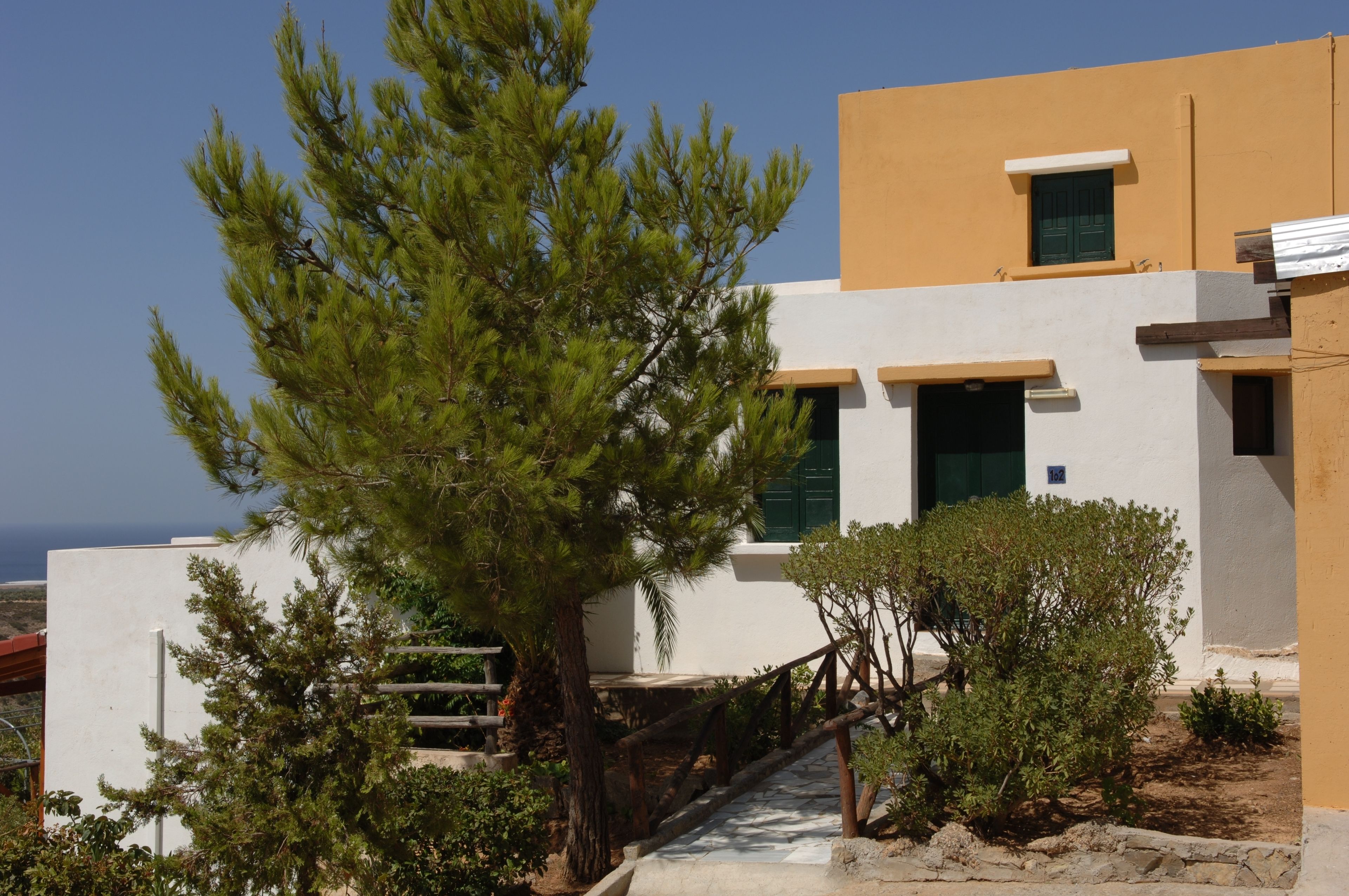 A modern building with a white facade, a wooden staircase, and a pine tree in the foreground.