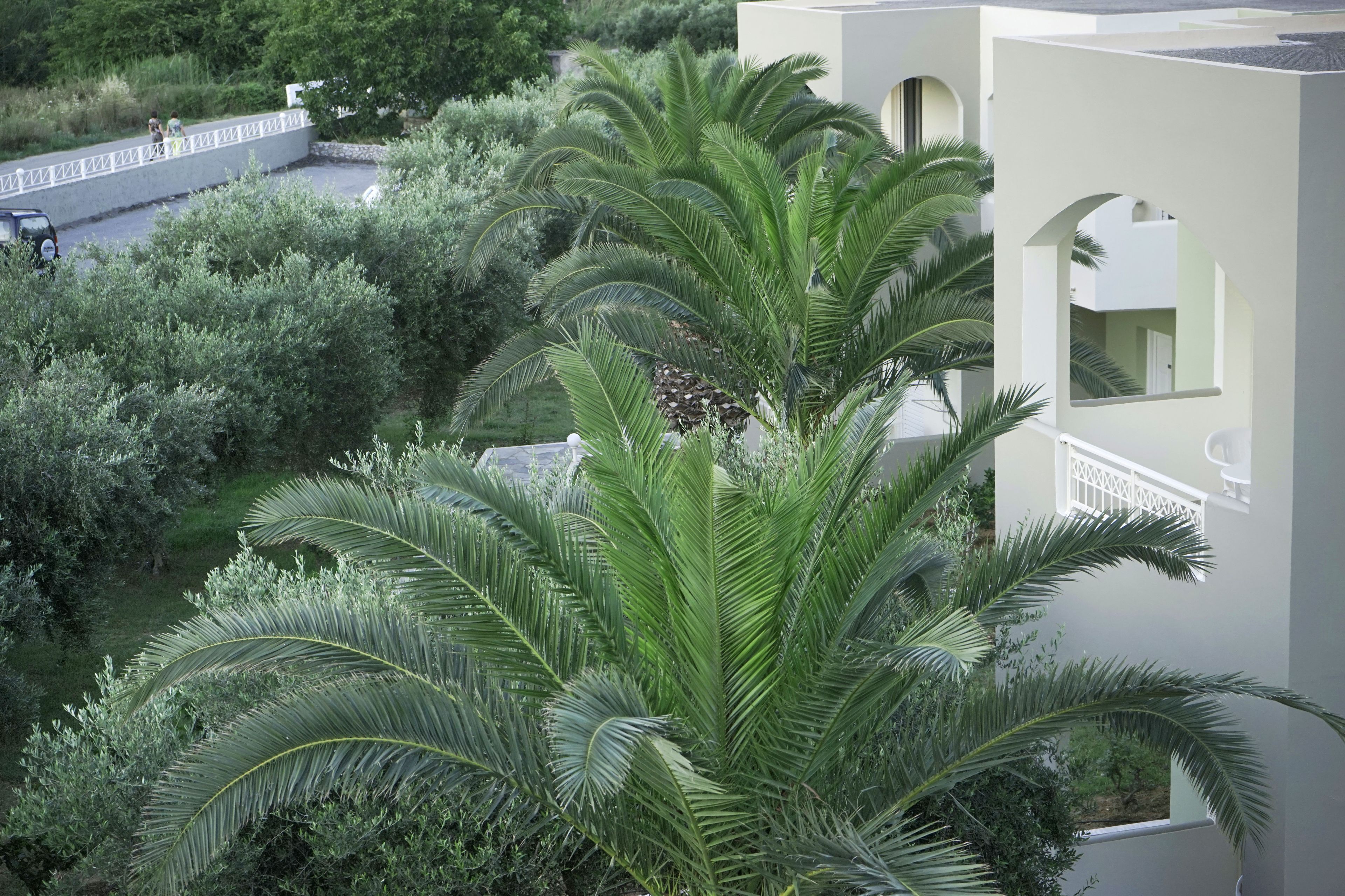 A building with a balcony, surrounded by lush greenery and a white fence.