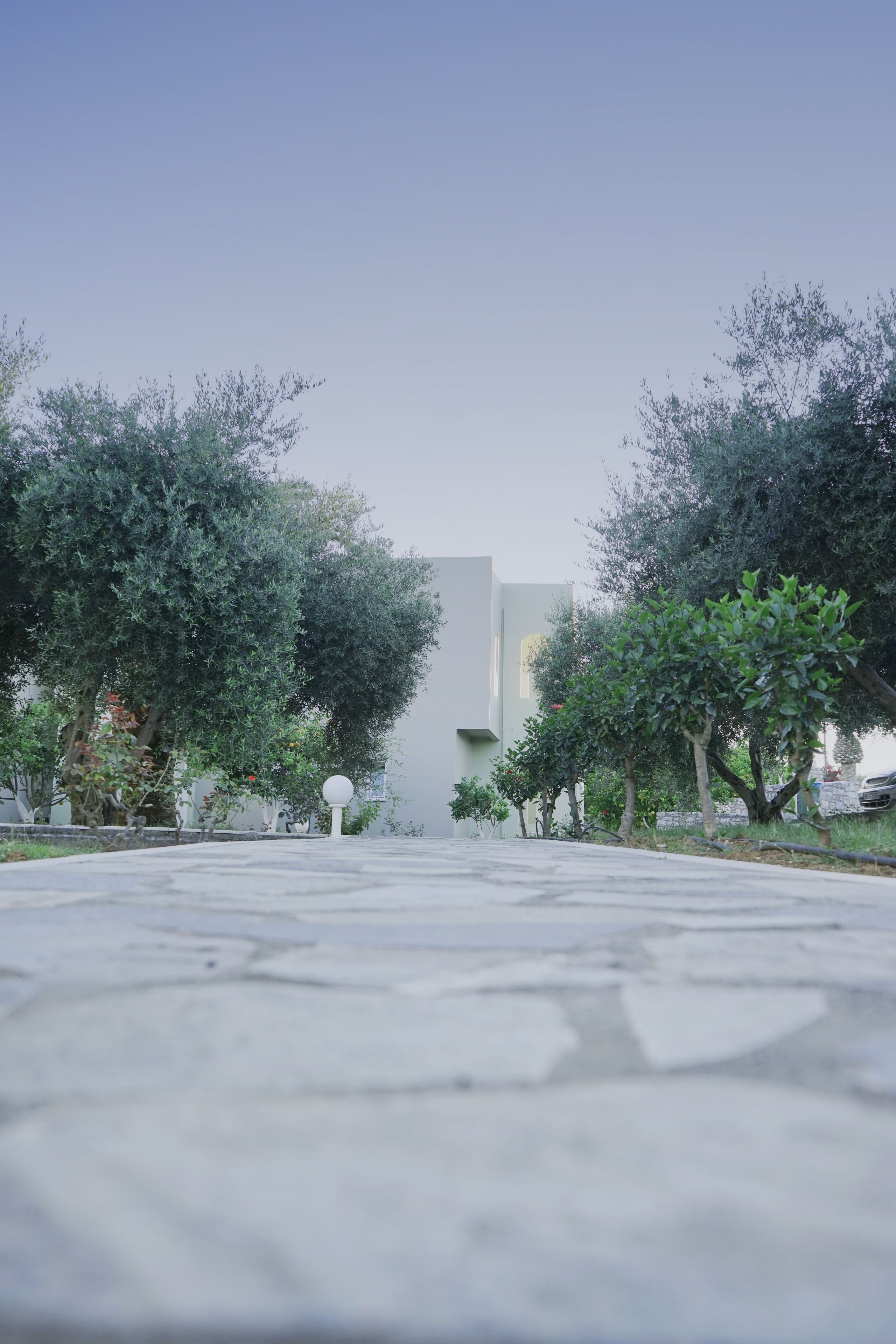 Un camino pavimentado bordeado de árboles que conduce a un edificio moderno con una luminaria esférica.