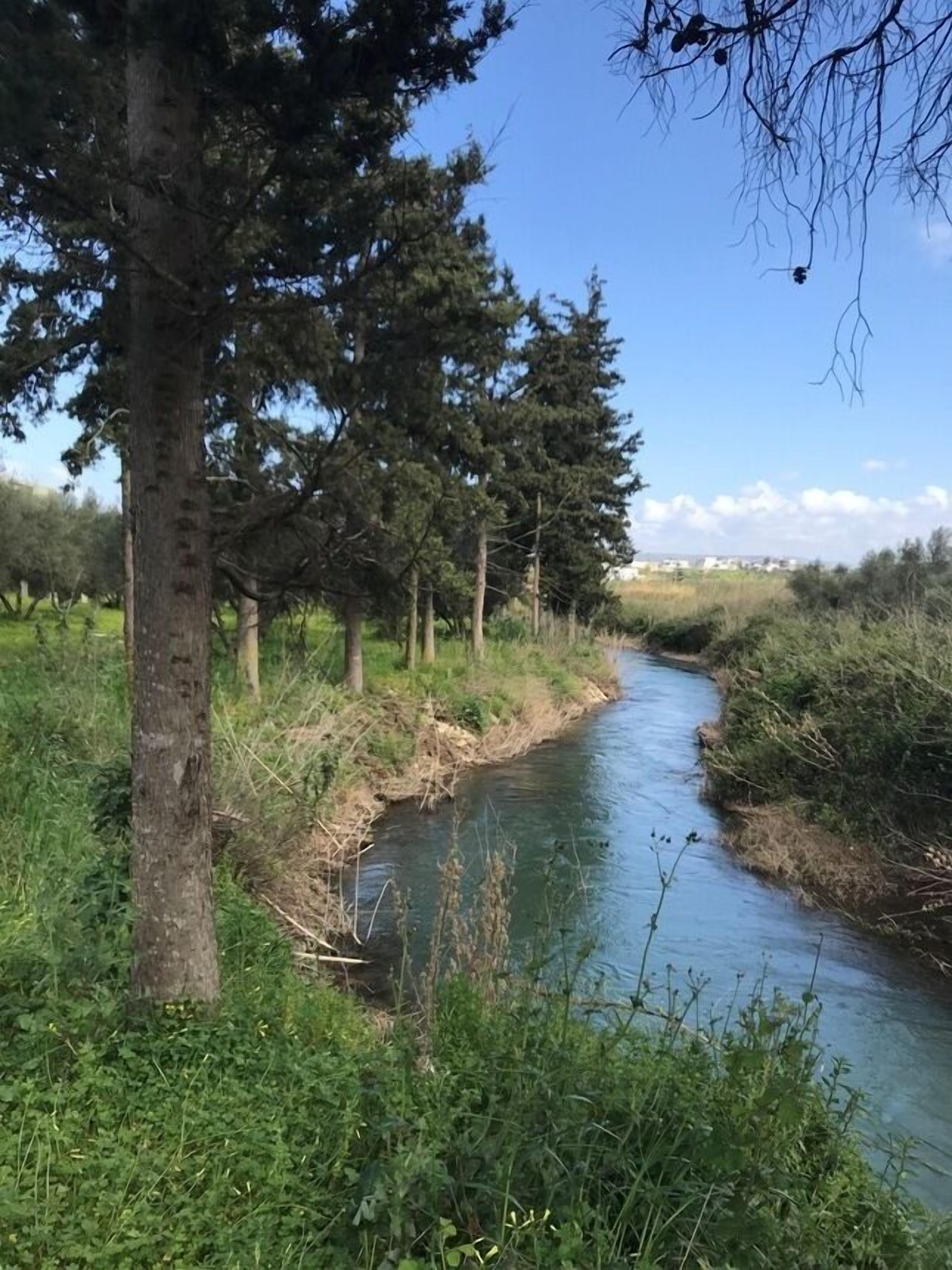A narrow river with trees on both sides, surrounded by greenery.