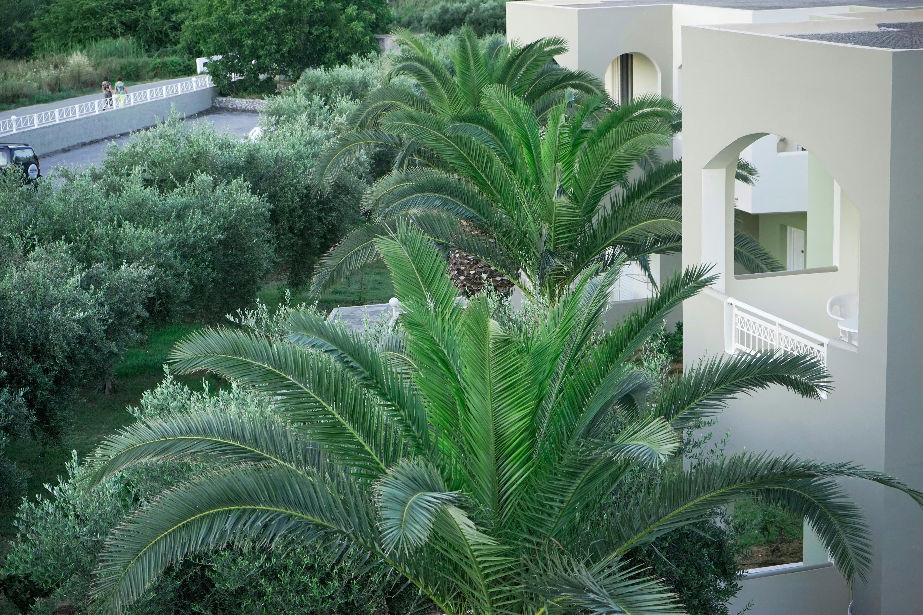 A building with a balcony, surrounded by lush greenery and a white fence.