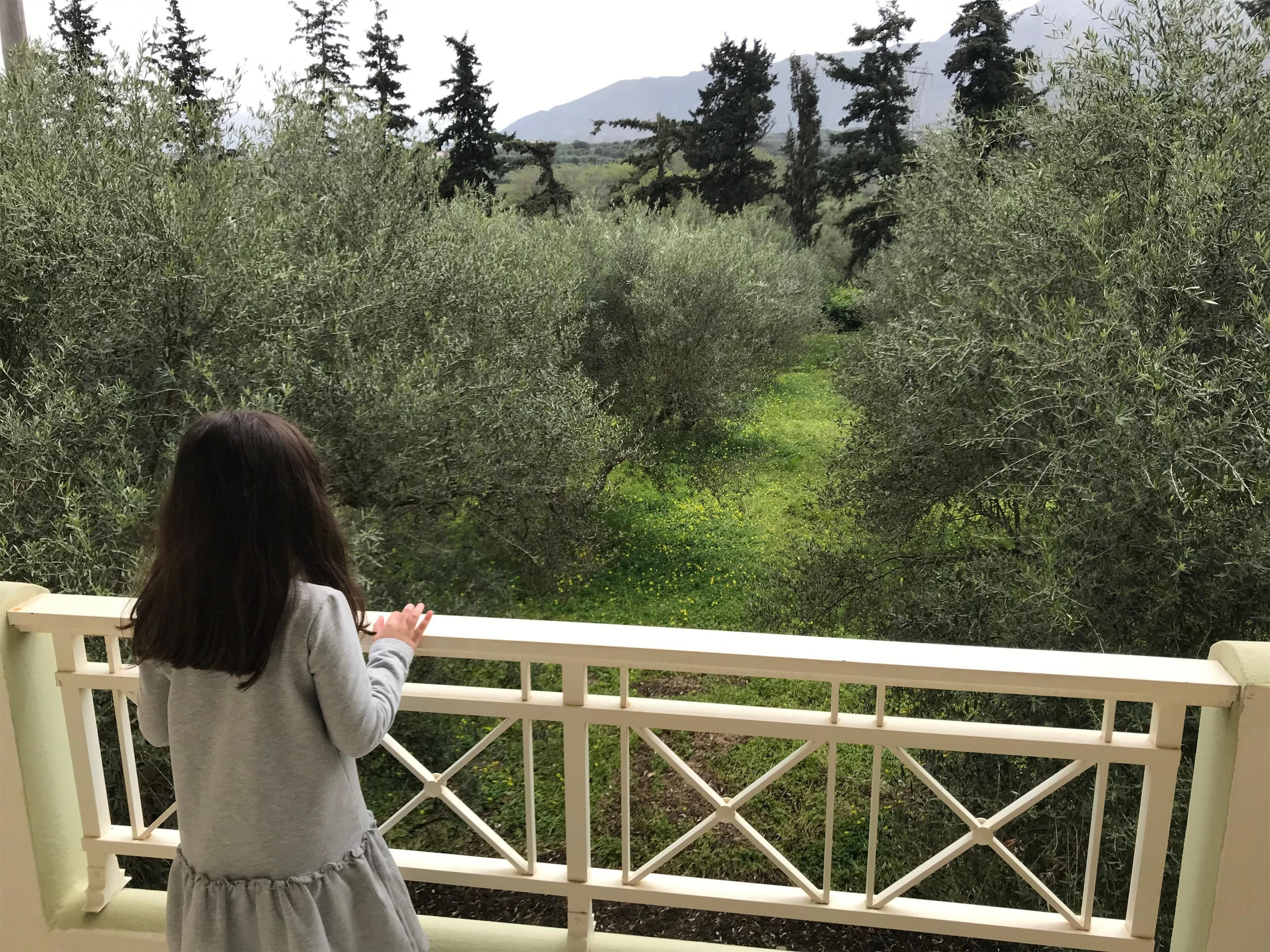 A balcony with a railing overlooking a garden with trees and a mountain in the background.