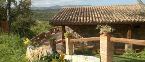 Blick auf die Umgebung