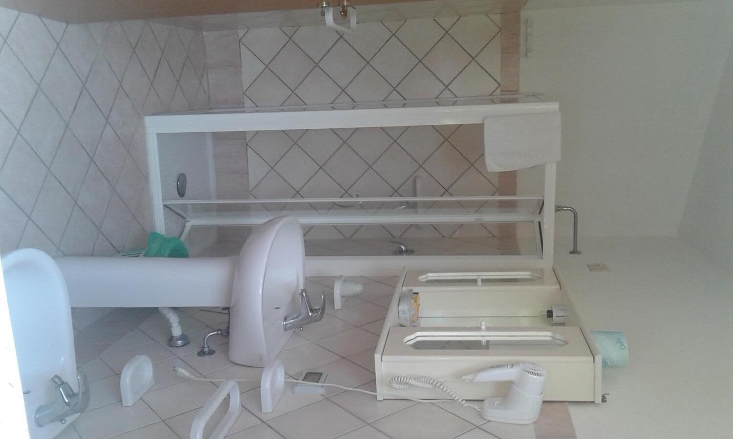 Un bany amb vàter, rentamig i zona de dutxa.