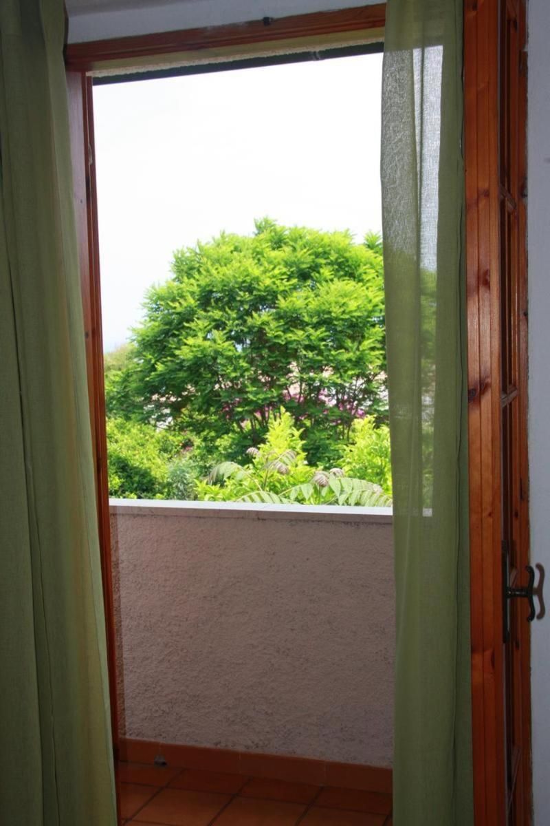 Una habitación con puerta de vidrio corrediza que da a un balcón con vistas a exuberante follaje.