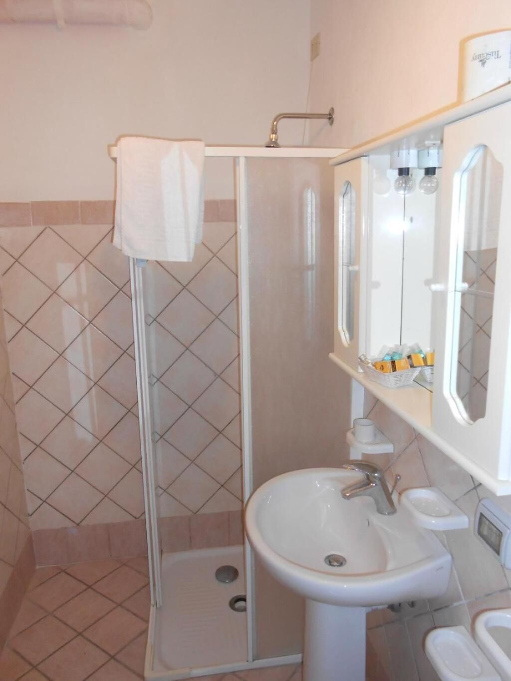 Une salle de bain avec une douche, un lavabo et un miroir.