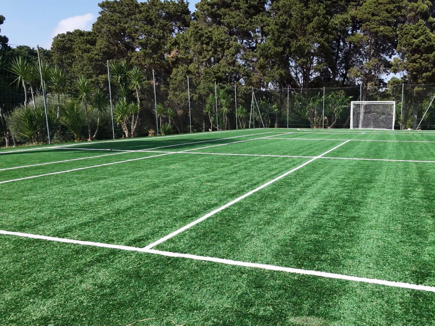A sports field with goalposts and a net, surrounded by trees.