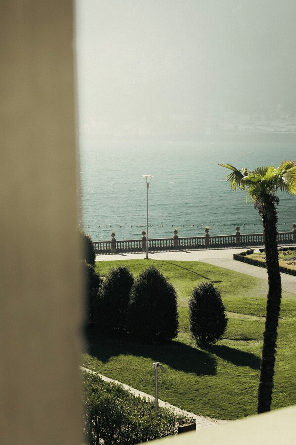 A view of a coastal area with a pathway, palm trees, and a fence.