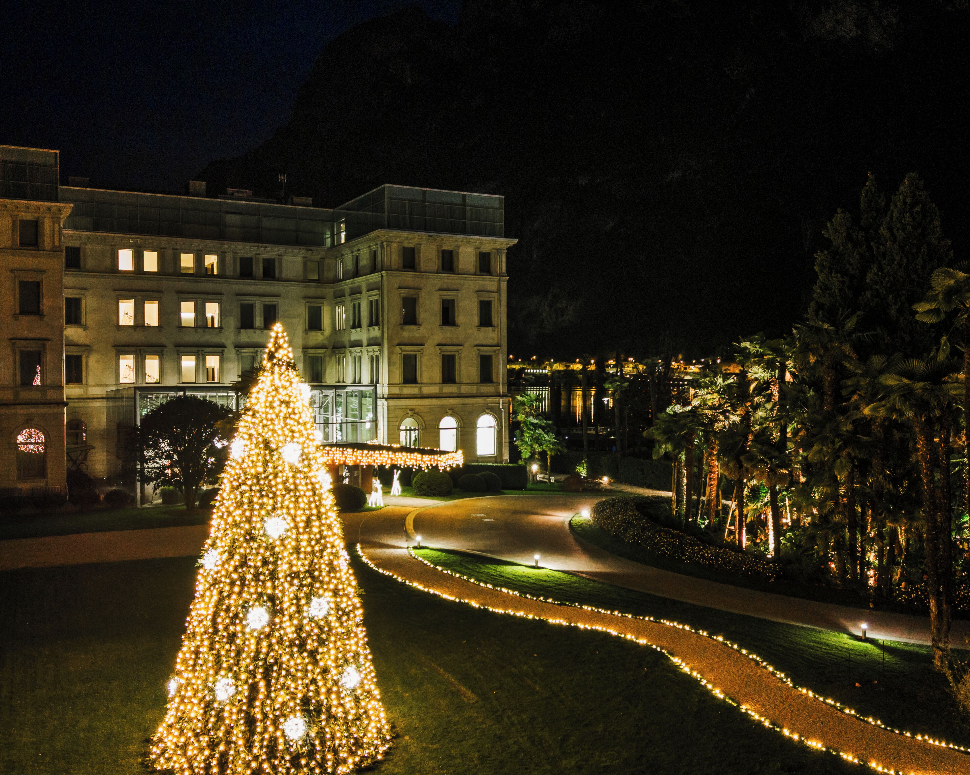 A large illuminated Christmas tree in front of a building with multiple windows and a well-lit driveway.