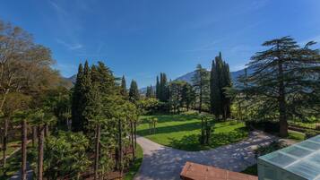 A landscaped area with a paved path, trees, and a clear sky.
