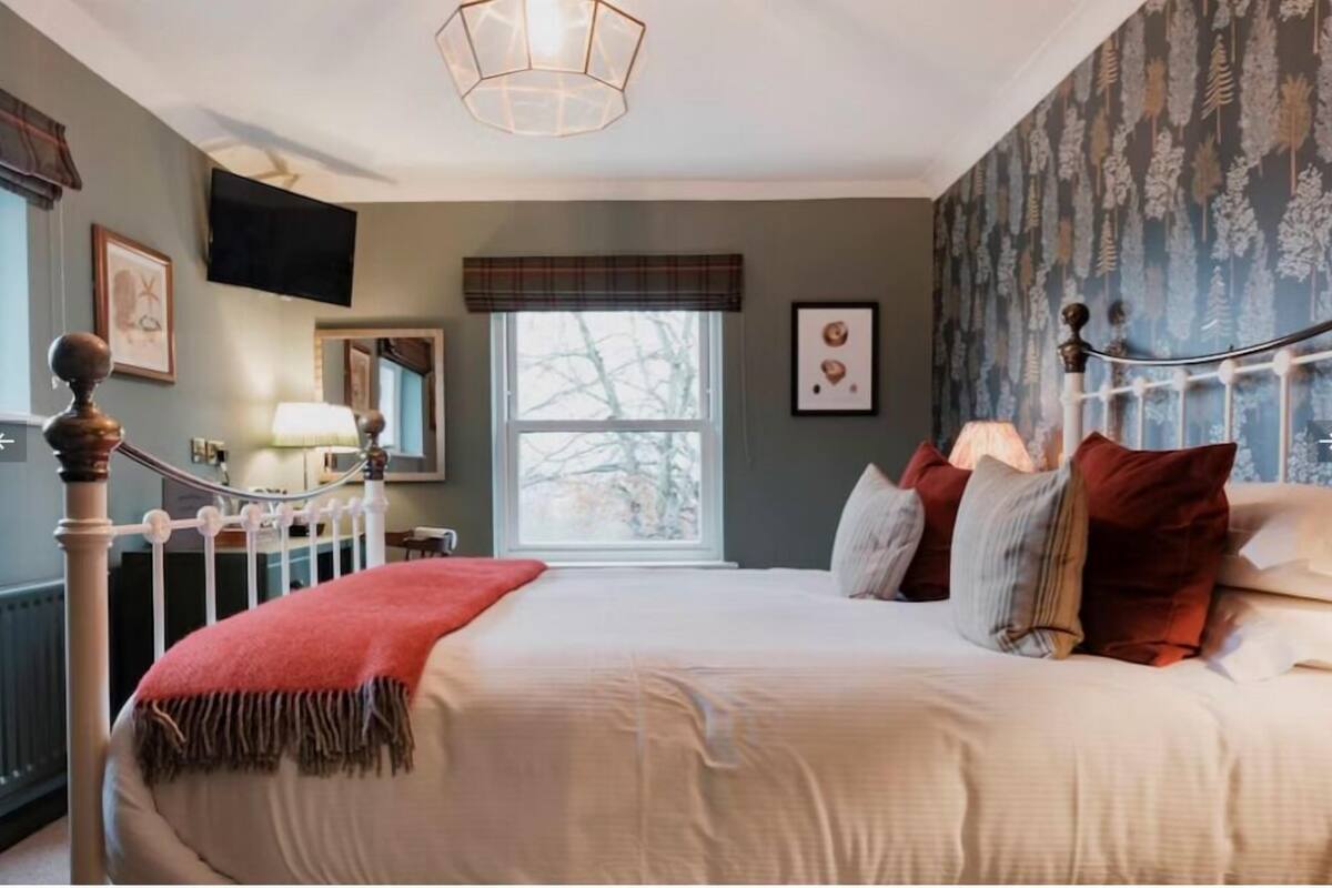 Une chambre avec un grand lit, une fenêtre, une télévision et un miroir.