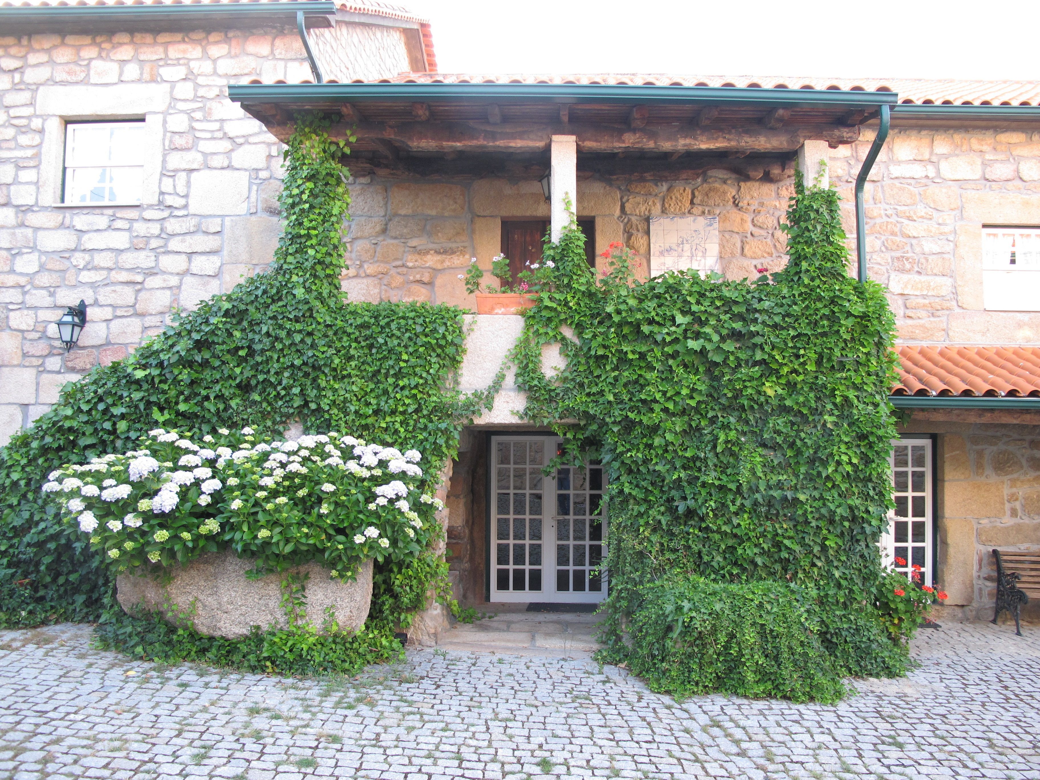 A stone building with a cobblestone courtyard, ivy-covered walls, and a wooden bench.